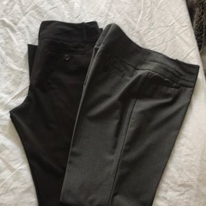 The limited Collection Slacks